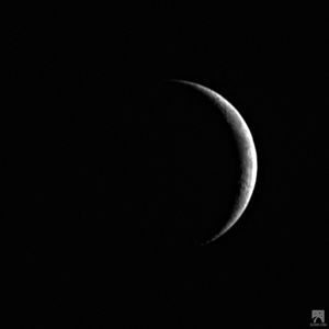 Meet your Posher, Kawai